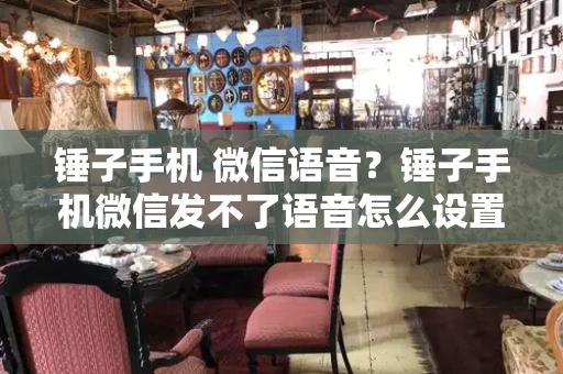 锤子手机 微信语音？锤子手机微信发不了语音怎么设置-第1张图片-星选测评