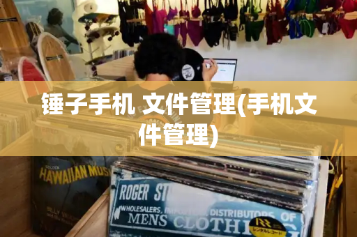 锤子手机 文件管理(手机文件管理)