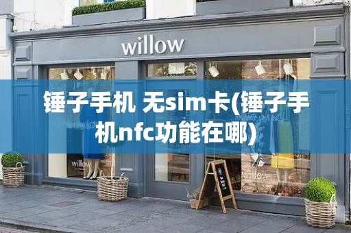 锤子手机 无sim卡(锤子手机nfc功能在哪)-第1张图片-星选测评
