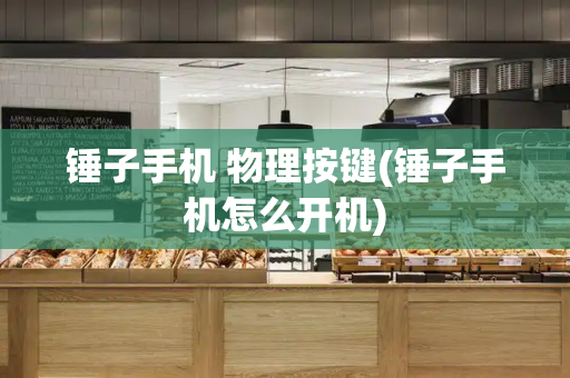 锤子手机 物理按键(锤子手机怎么开机)-第1张图片-星选测评