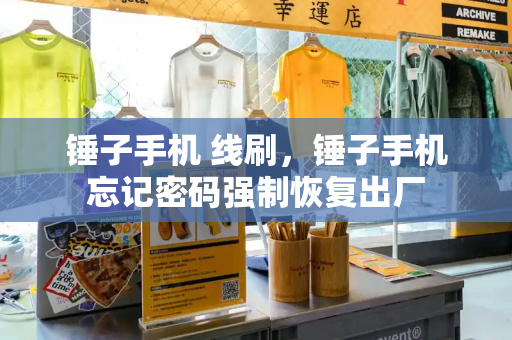 锤子手机 线刷，锤子手机忘记密码强制恢复出厂-第1张图片-星选测评