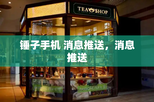 锤子手机 消息推送，消息推送