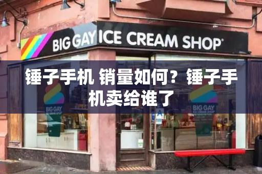 锤子手机 销量如何？锤子手机卖给谁了