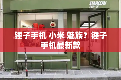 锤子手机 小米 魅族？锤子手机最新款-第1张图片-星选测评