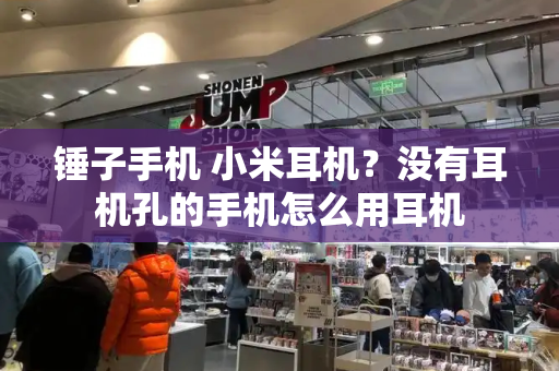 锤子手机 小米耳机？没有耳机孔的手机怎么用耳机