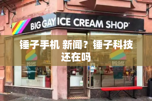 锤子手机 新闻？锤子科技还在吗