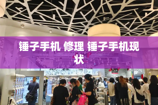 锤子手机 修理 锤子手机现状
