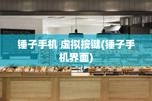 锤子手机 虚拟按键(锤子手机界面)-第1张图片-星选测评