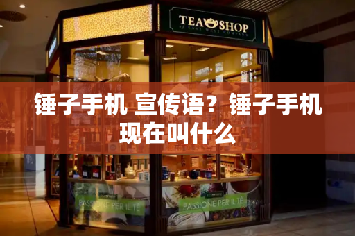 锤子手机 宣传语？锤子手机现在叫什么