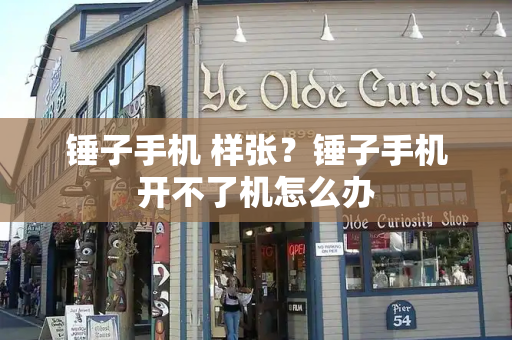 锤子手机 样张？锤子手机开不了机怎么办-第1张图片-星选测评
