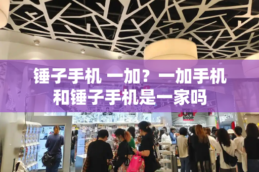 锤子手机 一加？一加手机和锤子手机是一家吗-第1张图片-星选测评