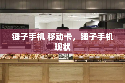 锤子手机 移动卡，锤子手机现状-第1张图片-星选测评