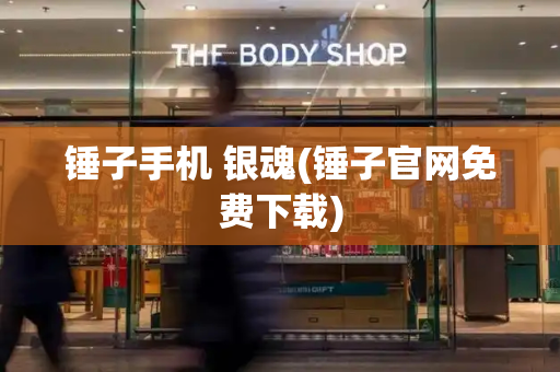 锤子手机 银魂(锤子官网免费下载)-第1张图片-星选测评