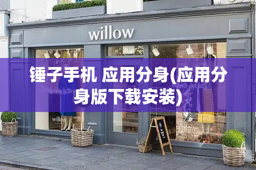 锤子手机 应用分身(应用分身版下载安装)-第1张图片-星选测评