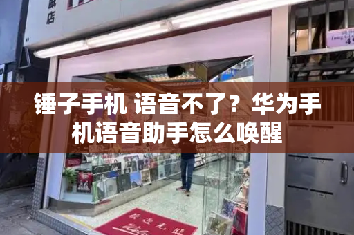 锤子手机 语音不了？华为手机语音助手怎么唤醒-第1张图片-星选测评