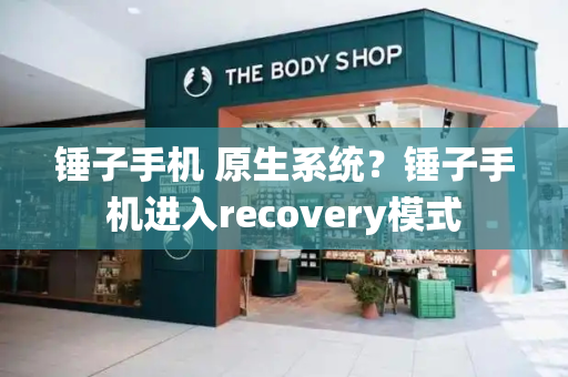 锤子手机 原生系统？锤子手机进入recovery模式