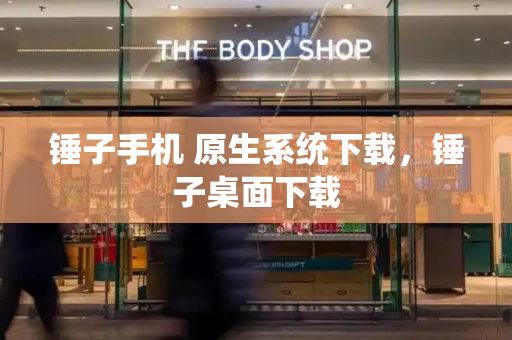 锤子手机 原生系统下载，锤子桌面下载