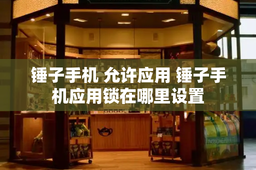 锤子手机 允许应用 锤子手机应用锁在哪里设置-第1张图片-星选测评