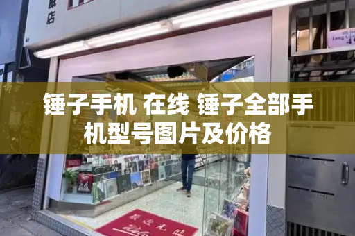锤子手机 在线 锤子全部手机型号图片及价格-第1张图片-星选测评