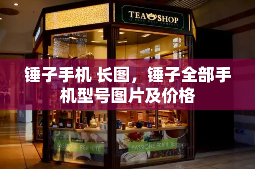 锤子手机 长图，锤子全部手机型号图片及价格-第1张图片-星选测评