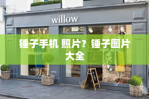 锤子手机 照片？锤子图片大全