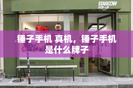 锤子手机 真机，锤子手机是什么牌子-第1张图片-星选测评