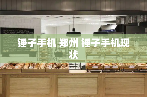 锤子手机 郑州 锤子手机现状-第1张图片-星选测评
