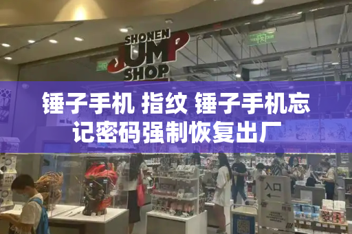 锤子手机 指纹 锤子手机忘记密码强制恢复出厂-第1张图片-星选测评