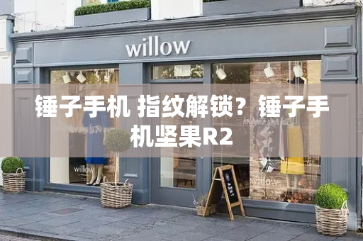 锤子手机 指纹解锁？锤子手机坚果R2-第1张图片-星选测评