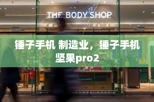 锤子手机 制造业，锤子手机坚果pro2