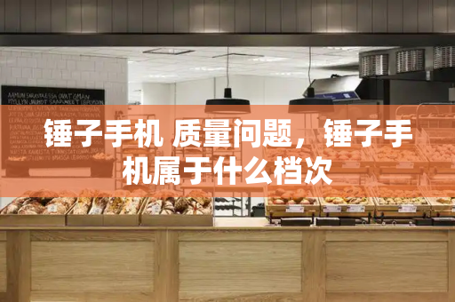 锤子手机 质量问题，锤子手机属于什么档次