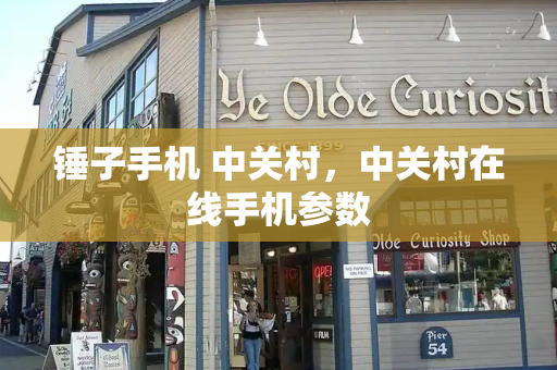 锤子手机 中关村，中关村在线手机参数-第1张图片-星选测评