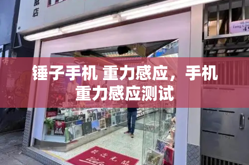 锤子手机 重力感应，手机重力感应测试-第1张图片-星选测评