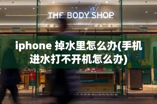 iphone 掉水里怎么办(手机进水打不开机怎么办)