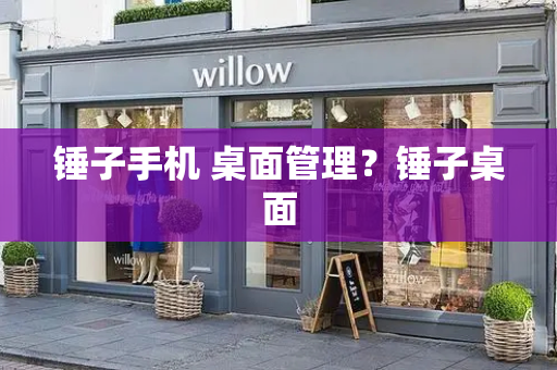 锤子手机 桌面管理？锤子桌面-第1张图片-星选测评