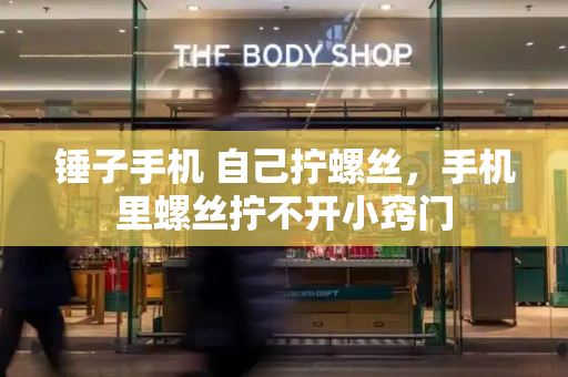 锤子手机 自己拧螺丝，手机里螺丝拧不开小窍门-第1张图片-星选测评