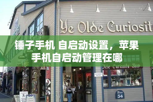 锤子手机 自启动设置，苹果手机自启动管理在哪