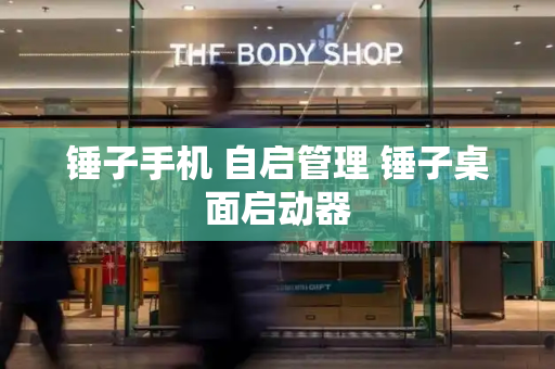 锤子手机 自启管理 锤子桌面启动器