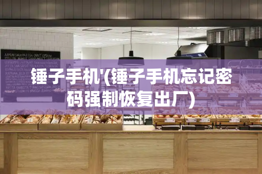 锤子手机'(锤子手机忘记密码强制恢复出厂)-第1张图片-星选测评