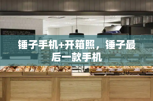 锤子手机+开箱照，锤子最后一款手机-第1张图片-星选测评
