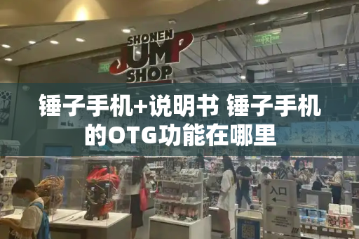 锤子手机+说明书 锤子手机的OTG功能在哪里
