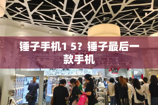 锤子手机1 5？锤子最后一款手机-第1张图片-星选测评