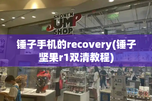 锤子手机的recovery(锤子坚果r1双清教程)