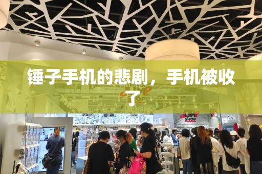 锤子手机的悲剧，手机被收了