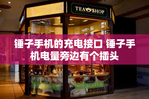 锤子手机的充电接口 锤子手机电量旁边有个插头