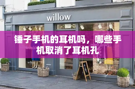 锤子手机的耳机吗，哪些手机取消了耳机孔-第1张图片-星选测评