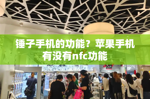 锤子手机的功能？苹果手机有没有nfc功能-第1张图片-星选测评