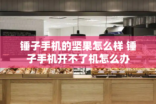 锤子手机的坚果怎么样 锤子手机开不了机怎么办