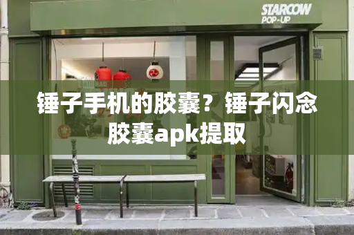 锤子手机的胶囊？锤子闪念胶囊apk提取-第1张图片-星选测评