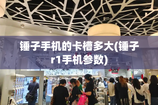 锤子手机的卡槽多大(锤子r1手机参数)